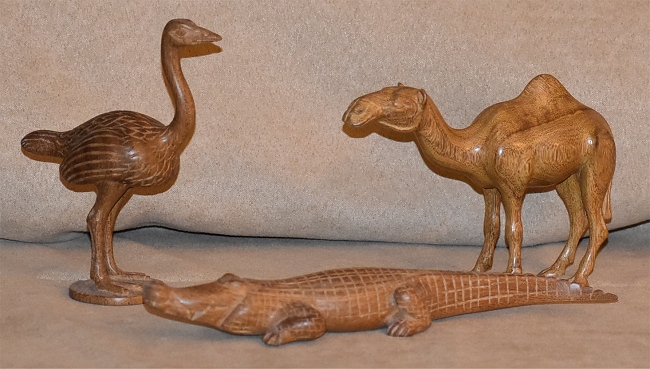 Ostrich, Crocodile, Camel